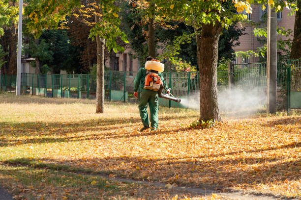 Best Best Pest Control Companies  in Lewisburg, WV