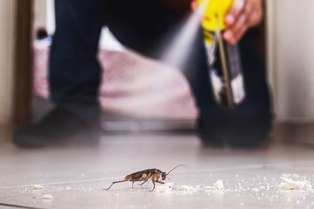 Best Wasp Removal Services  in Lewisburg, WV