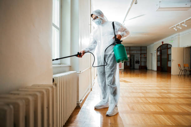 Best Local Pest Control Services  in Lewisburg, WV